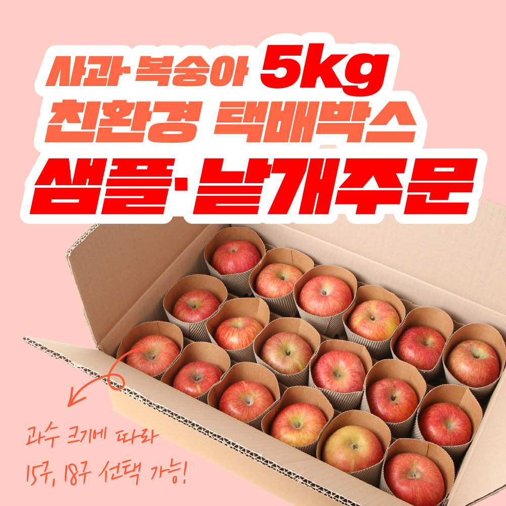 [샘플·낱개구매] 사과 5kg 친환경 선물박스 택배박스(15·18구)